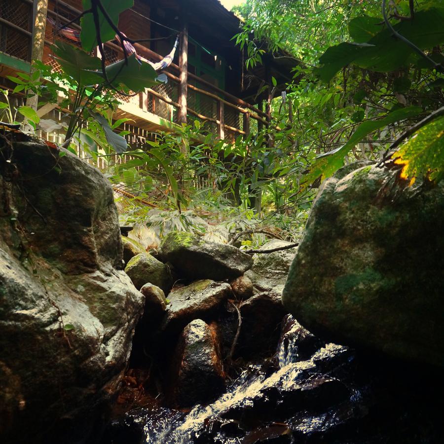 Pousada Sitio Dos Tucanos Флорианополис Экстерьер фото